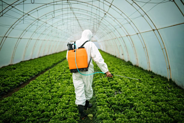 Best Best Pest Control Companies  in Wilburton, OK