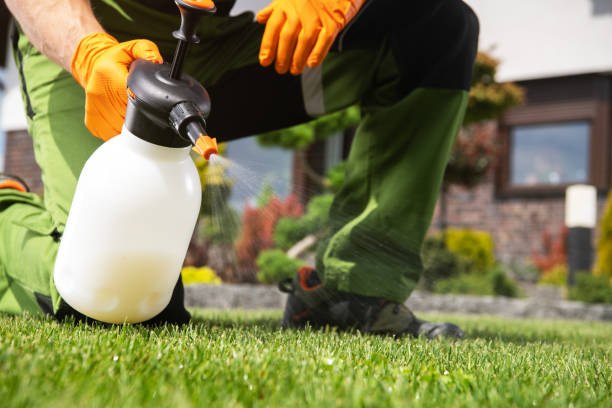 Best Pest Control for Homes  in Wilburton, OK
