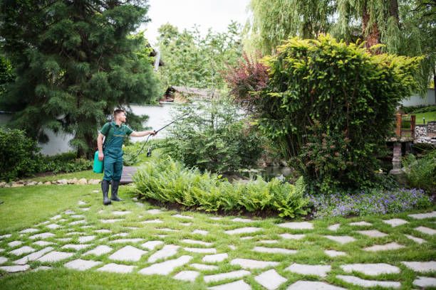 Best Affordable Pest Control Services  in Wilburton, OK