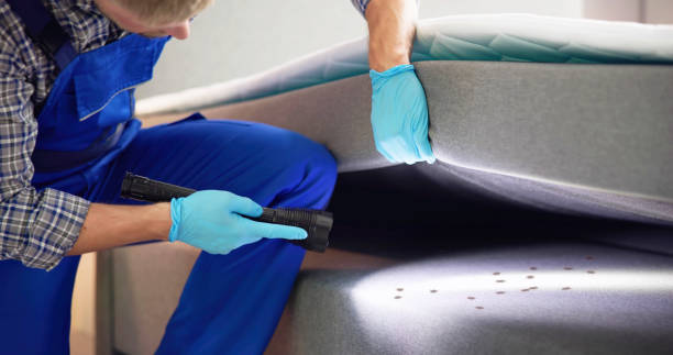 Best Emergency Pest Control  in Wilburton, OK
