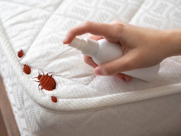 Best Pest Prevention Services  in Wilburton, OK