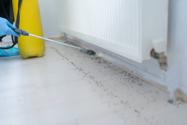 Best Cockroach Control Services  in Wilburton, OK