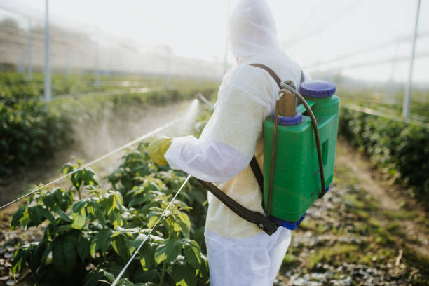 Wilburton, OK Pest Control Company